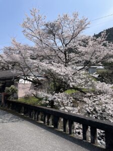 高知　大豊町　ペットOK　一棟貸し　ガルバンゾハウス